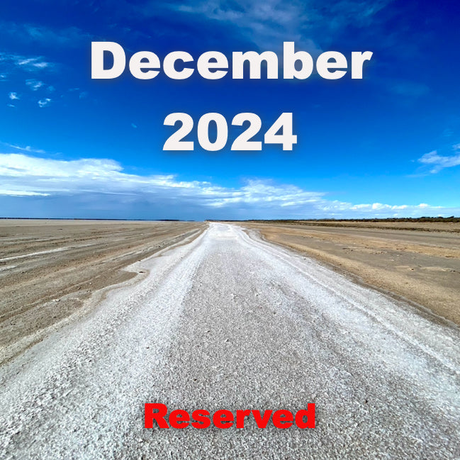 utv baja ride december 2024